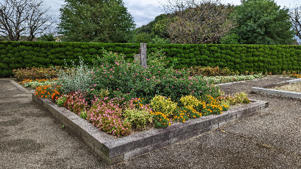 ヒーリングガーデン花壇