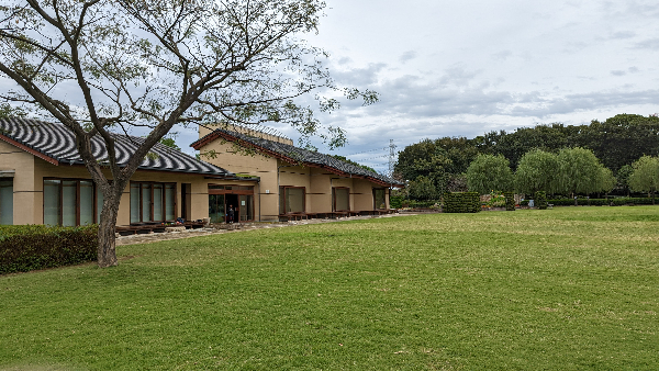 PXL_20221009_021320141