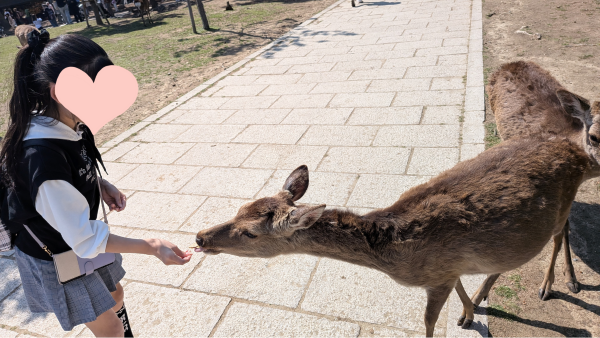 奈良公園2